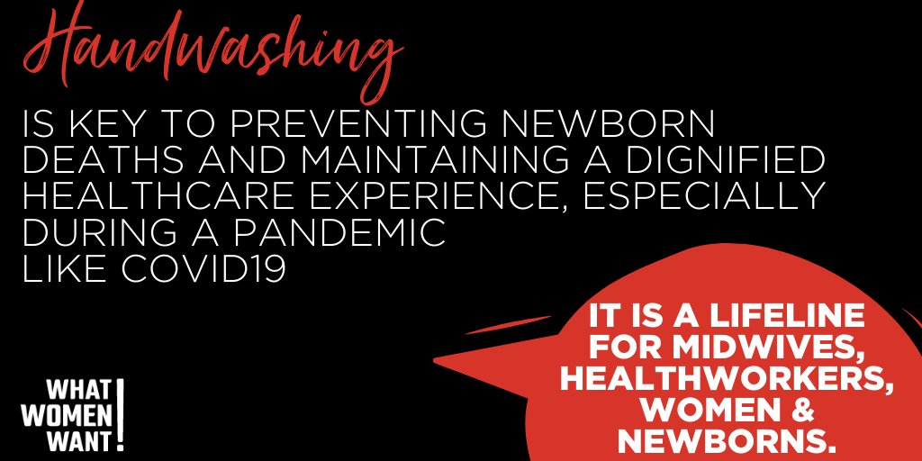 World We Want tweet media