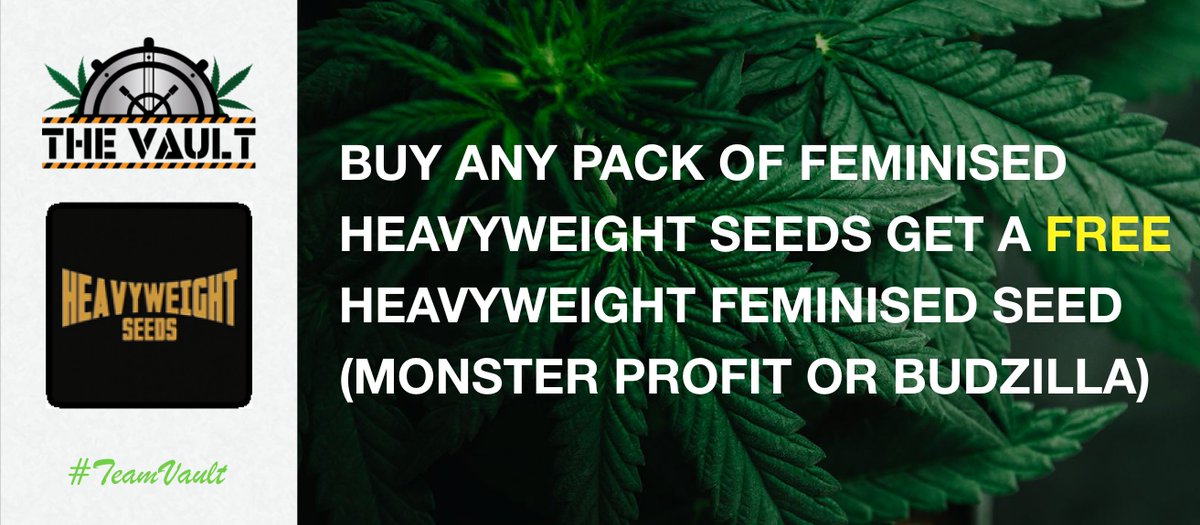 🌱 The Vault Seedbank🌱 tweet media