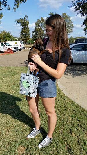 ColliervilleGov's tweet image. Do you need a new best friend? The Collierville Animal Shelter has dogs and cats just waiting to fill that need. They can't wait to meet you, but due to COVID, meetings with potential fur buddies are by appointment only. Read more about it at buff.ly/384rBJc