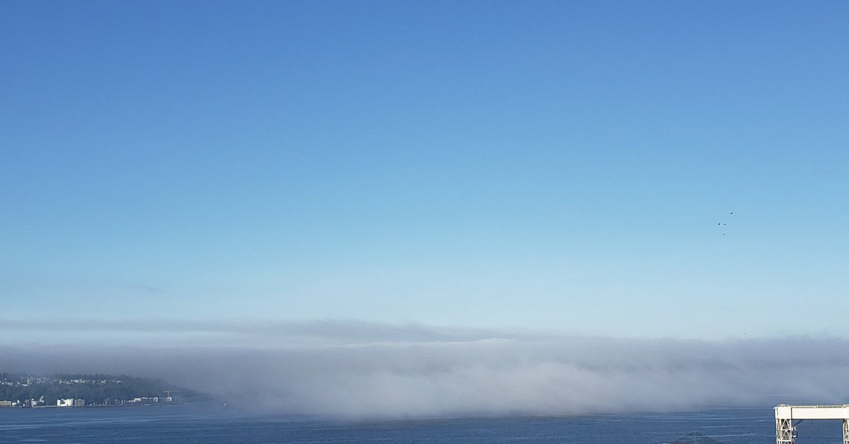 BoatingJourney's tweet photo. Watching the marina layer move into Elliott Bay.
Good morning Seattle!
#fogbank #marinalayer #boatingjourney #boatinglife #northwestboater #elliottbaymarina #bayliner #seattle #pugetsound #boatingblog #bayliner4087 #baylineryacht #meridianyachts https://t.co/f6ba4vEAOO