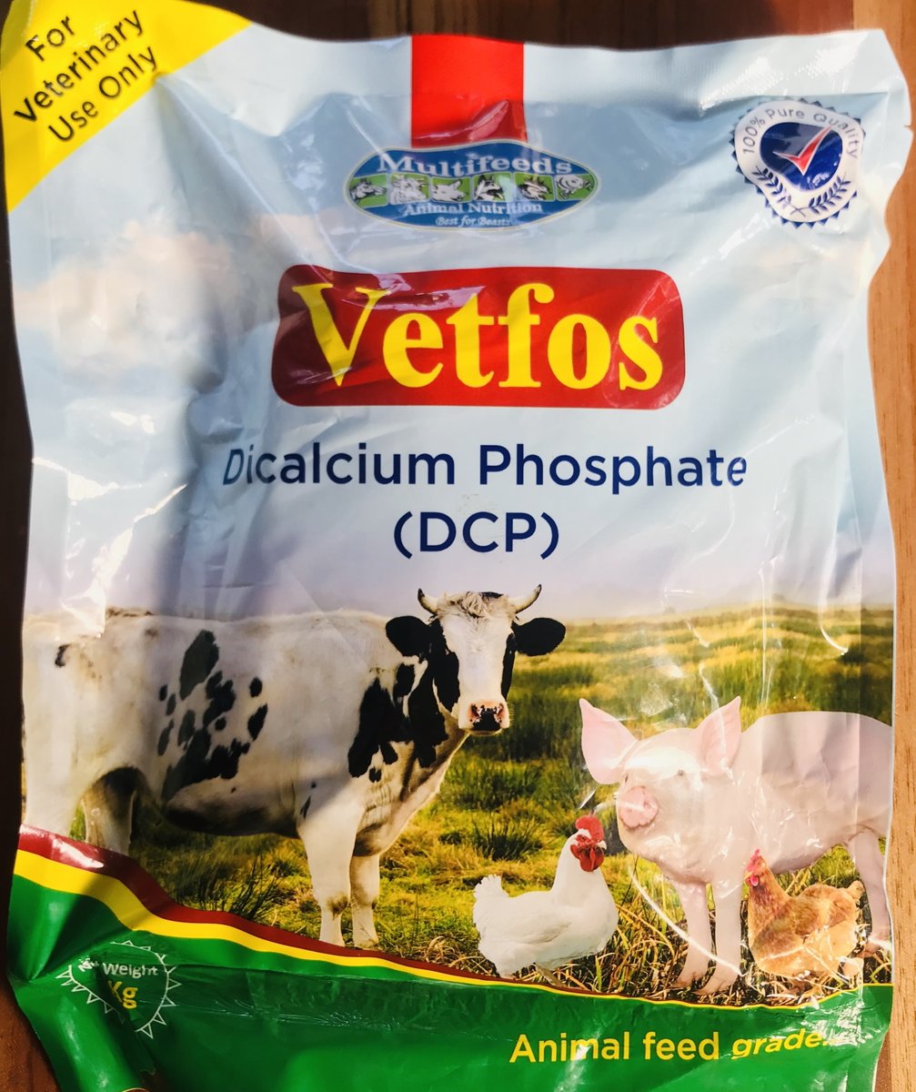 Milele_Health's tweet photo. This week's Product of the Week, #DicalciumPhosphate, is a Calcium and Phosphate mineral supplement used to improve yields in dairy cattle. It is also useful for poultry and small ruminants. It is one of the most popular products with our #smallholder farmers! https://t.co/MJd5MjiUfy