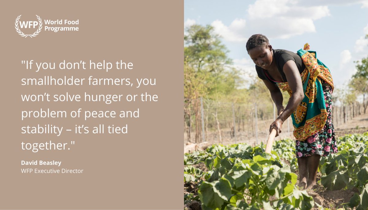 WFP_Europe's tweet photo. At #WFC2020, @WFPChief stressed that we can’t solve #hunger with humanitarian aid alone, but that we must think of long-term solutions as well.

Smallholder farmers play a key role when rethinking and transforming our #FoodSystems to make them more resilient and #sustainable. https://t.co/lHF9dx0C2g