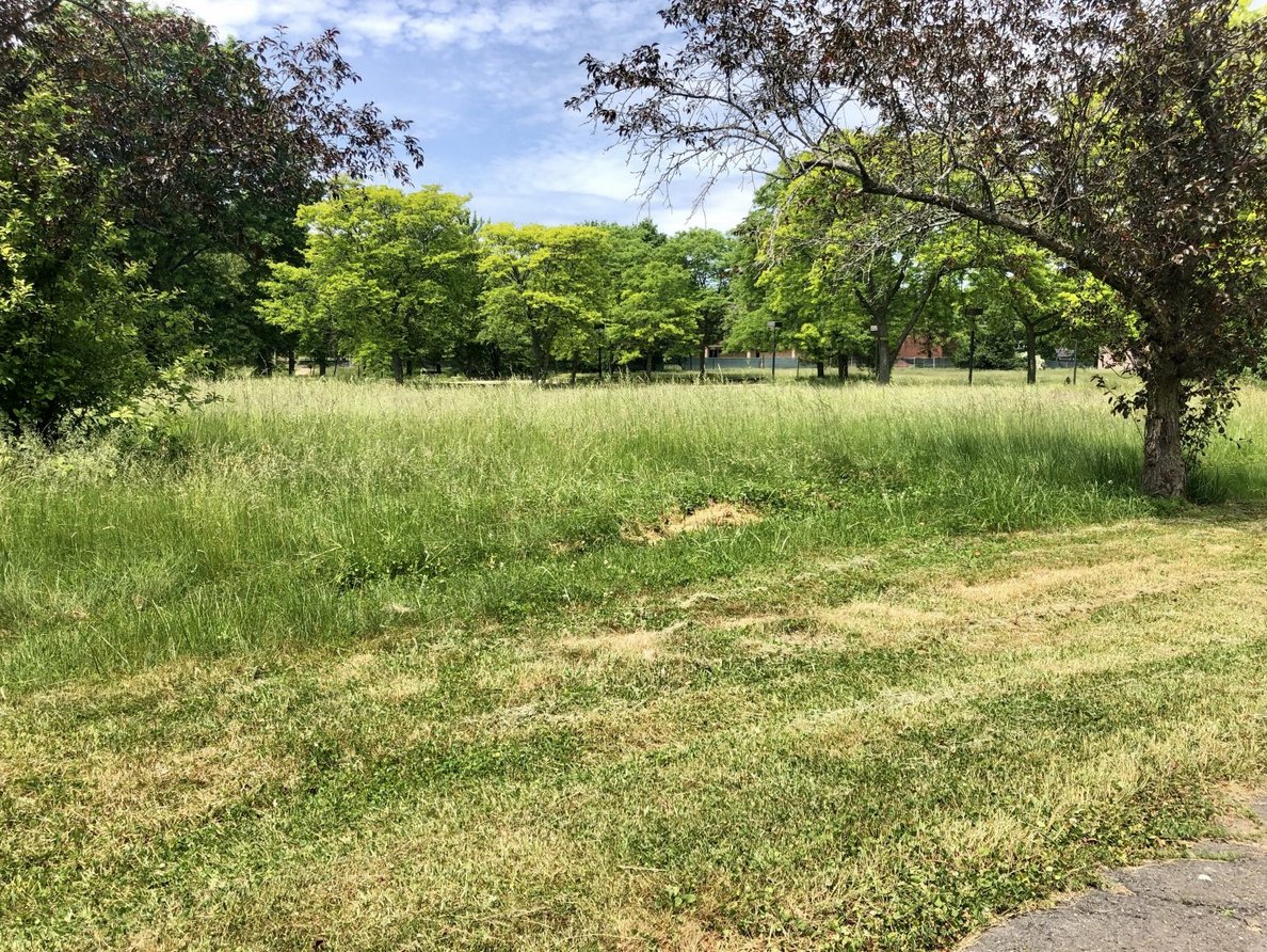 JCap_Research's tweet photo. Here's what the $IDEX "FinTech Village" actually looks like. https://t.co/LtOVDtLcER https://t.co/FUHJ2ltHPs
