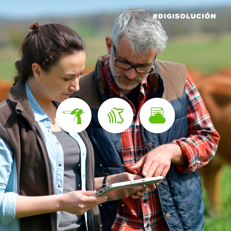 digirodeo's tweet photo. #DigiSolución Nuestro compromiso es garantizar la trazabilidad animal a través de la tecnología. Contamos con una #DigiSolución para cada etapa de tu trabajo.
#jeringainteligente + #AppDigirdeo + #DigiCloud https://t.co/S9x7B5mLmr