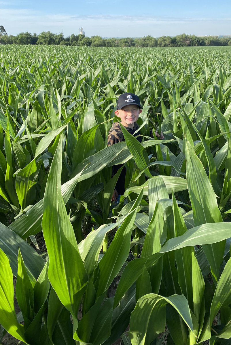 Trent Siebecker tweet media