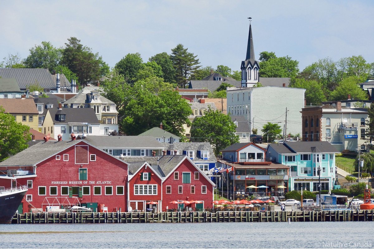 ナチュリブカナダ カナダ大西洋沿岸のノバスコシア ニューブランズウィック プリンスエドワードアイランド ニューファンドランド ラブラドール4州の在住者は 7月3日からこの地域内に限り自由に行き来することができるようになります 他地域から入域