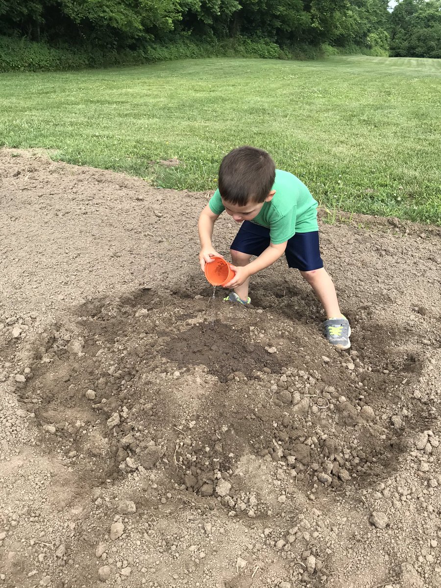 GenPreschool's tweet photo. We planted pumpkin seeds this morning for our on site preschool pumpkin patch. It’s such a wonderful opportunity for our littles to learn. #BeADragonSGEL https://t.co/tSK1tcCtf1