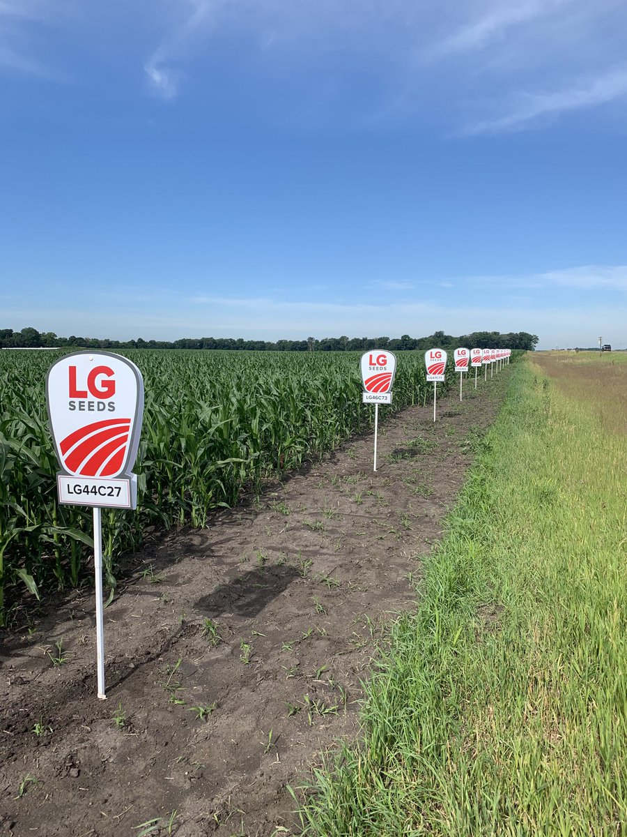 DanielOlson12's tweet photo. Plot signs are going up in southern Minnesota.  Check out the new ⁦@LGSeeds⁩ products for the 2021 season   Thanks Sigel Repair by New Ulm.   ⁦@AdvantageAcre⁩ https://t.co/pcxARc0t6J