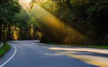 AMAACmx's tweet photo. ¿Por qué pavimentos asfálticos? Por ser un material amigable con el medio ambiente cuando se le usa adecuadamente, es de gran valor al permitir obtener mayores ahorros durante su vida útil y tener mayores cualidades por ser recuperable, reciclable, y renovable. #EligeAsfalto https://t.co/l9HQeAwLtp