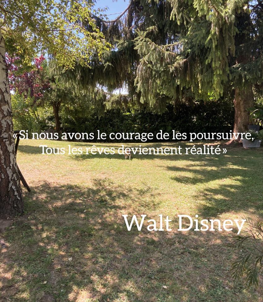commercitecom's tweet photo. 🖊Citation du jour🖊 Commençons cette semaine avec une citation pleine de positivisme de Walt Disney! Croyez en vos rêve, tôt ou tard ils se réaliseront. 💪🙌🌞 #commercite #citation #positivité #croireensesrêves #créateurs #créatrices #madeinFrance #faitenfrance #faitmain https://t.co/gPxW6UqhxU