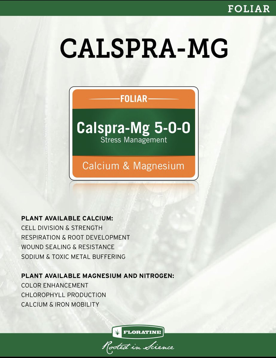 Check out one of our newest and most popular additions, Calspra-Mg! Foliar feed Calcium and Magnesium through the summer months for increased stress tolerance and enhanced color response. @FloratineFoliar #MagnesiumNitrate #CalciumNitrate #chlorophyll #gcsaa #rootedinscience