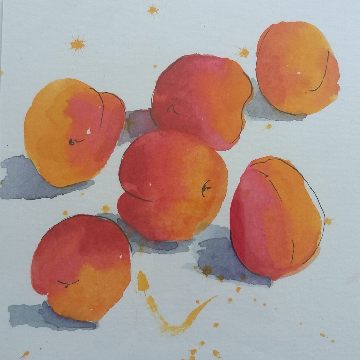 Apricots. Watercolour. 6" x 6". Now available to buy from my website. Link in bio.

#apricots #fruit #watercolour #watercolours  #inkandwatercolour #originalart #watercolourart #originalart #affordableart #artforsale #artforsalebyartists #artforwal