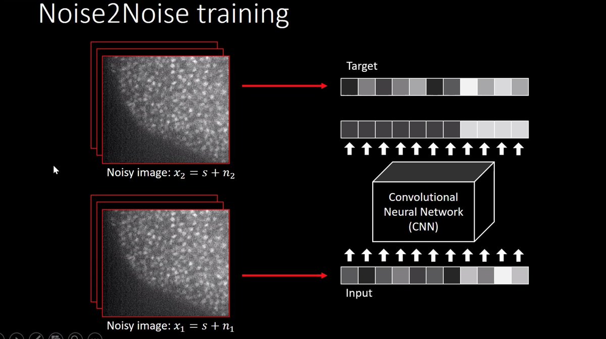 aa_cieslak's tweet photo. A guide to content-aware image restoration-thank you for a very comprehensive webinar! #CSBDeep #CARE #N2V #StructN2V #DenoiSeg @jug_lab @florianjug @tibuch_ @frauzufall @sagzehn @Mangal_Prakash_ @NEUBIAS_COST #neubiasacademy #bioimageanalysis #Microscopy https://t.co/O5EhseHoYx https://t.co/hvXLLJTF1z