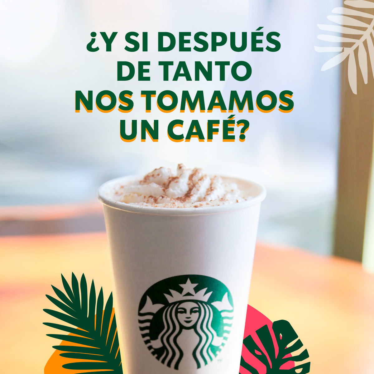 StarbucksMex's tweet photo. Etiqueta a la persona con la que te gustaría tomar ese café que quedó pendiente. ☕✨
💚🏡 #StarbucksContigo https://t.co/Dg309GNEZV
