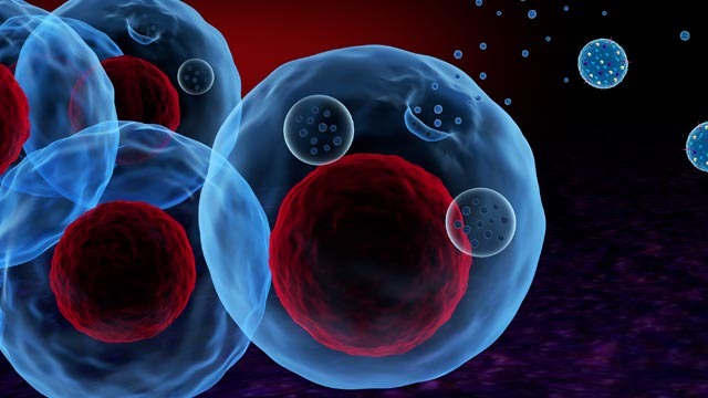 research_tree's tweet photo. #ReNeuron has announced its 3rd exosome collaboration agreement and has made another step to justifying the strategic shift to exosomes as announced earlier this month. Report by @nplus1singer #shares #stocks
https://t.co/eCYTrV3diQ https://t.co/Qe7orggbzl