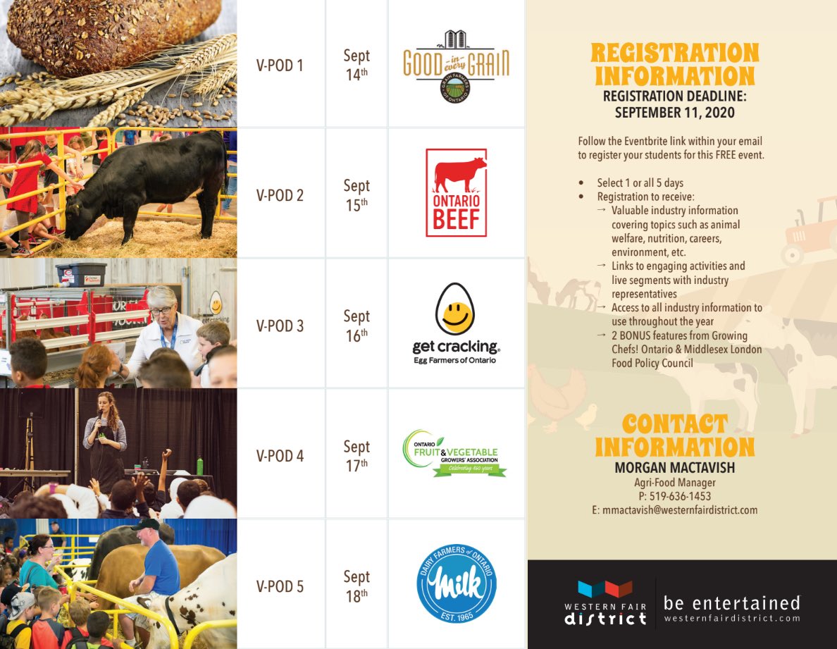 SixbySixteen's tweet photo. ‼️@WesternFair’s School AG Tours are going virtual‼️Tune in September 14-18 to increase your food literacy knowledge from the comfort of your home or classroom. Registration is now live‼️ #foodliteracy #WFDFarmFan #WesternFair2020 #WesternFairSchoolTours #loveONTfood #kidscook https://t.co/fSCvKpdS8i