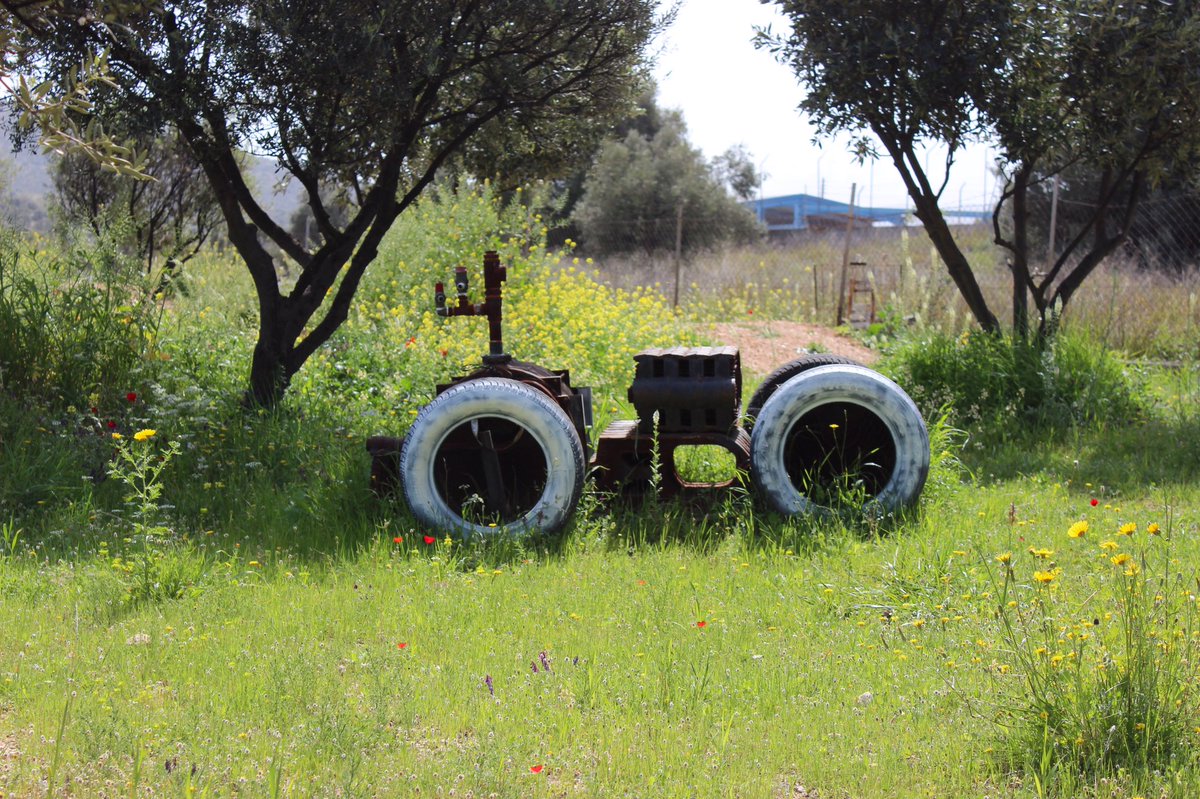 playandheal12's tweet photo. How will you follow your path? ~Kanta εε‘ Rudy ι²θΏͺ~ π
#choice #path #private #garden #olivetrees #nature #beauty #peace #balance #abundance #gratitude #kindness #joy #happiness #love #life #lifeisgood #positivity #kantarudy #askkanta #playandheal #kjskates #athens #greece https://t.co/PkJ2l1CIxZ