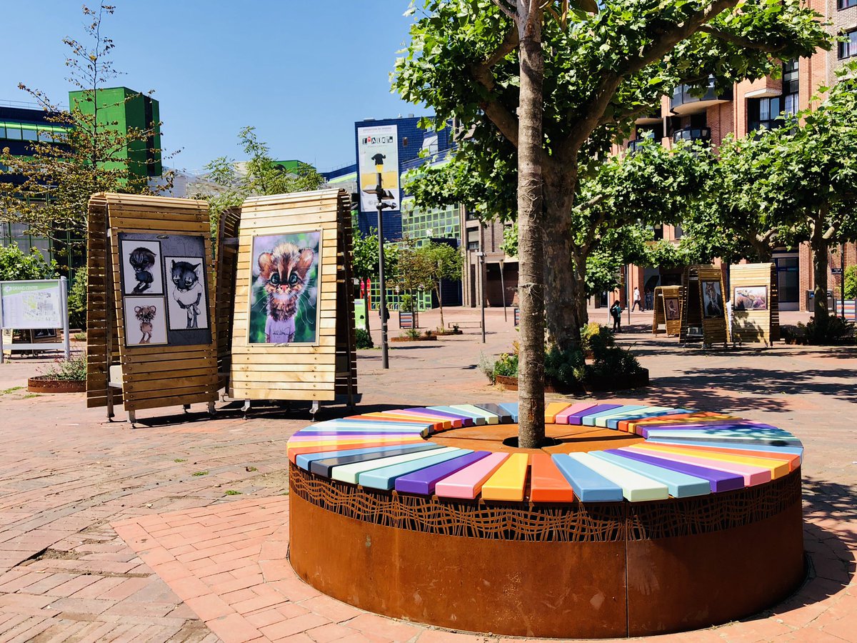 CergyPontoise95's tweet photo. GRAND CENTRE | La place Charles de Gaulle poursuit sa mue. Les premières assises et les bacs colorés ont été installés ce matin à #Cergy. A terme, 7 bancs, 52 nouvelles bornes et 9 jardinières habilleront la place. ➕ d’infos sur la #rénovation
➡️https://t.co/SPeXk97BFZ https://t.co/wnGSZU7sjD