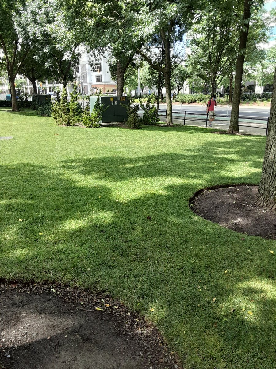 johnjmcmonagle's tweet photo. @JerseyCityPD - #Alert

@StevenFulop

#Mayor of
#TheHeights
#JournalSquare
#Greenville

NOT Mayor of
#PavoniaNewport 
#ExchangePlace

@JerseyCity
#JerseyCityNJ

#SpartanSecurity

#Racist #NAZI #Black
Chases Out #American

In Public Area of Park

Claiming #KeepOffGrass

Open Area https://t.co/ufh4O5wDCG