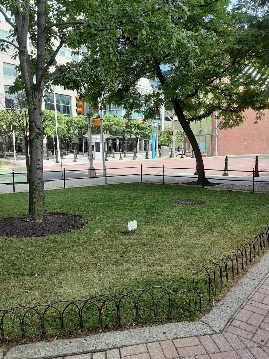 johnjmcmonagle's tweet photo. @JerseyCityPD - #Alert

@StevenFulop

#Mayor of
#TheHeights
#JournalSquare
#Greenville

NOT Mayor of
#PavoniaNewport 
#ExchangePlace

@JerseyCity
#JerseyCityNJ

#SpartanSecurity

#Racist #NAZI #Black
Chases Out #American

In Public Area of Park

Claiming #KeepOffGrass

Open Area https://t.co/ufh4O5wDCG