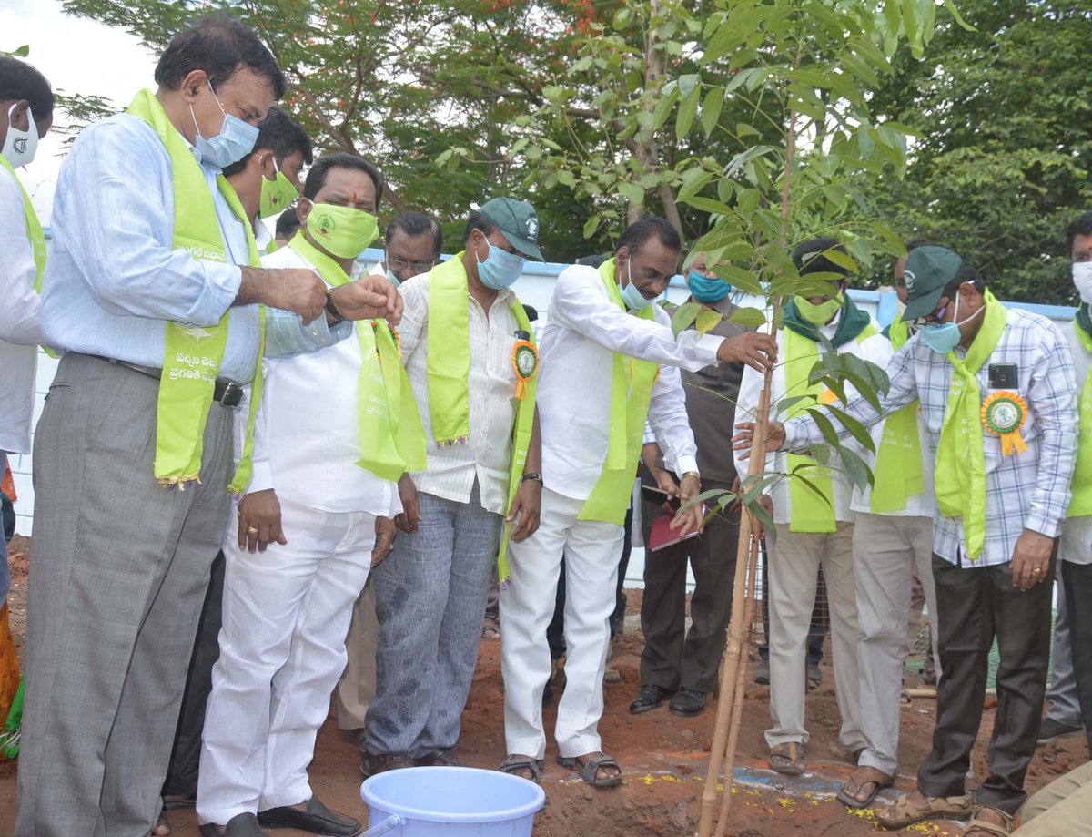 MLAVanamatrs's tweet photo. Started 6th phase of Telangana ku Haritha Haram by planting few saplings at Pragathi Maidan of Kothagudem, Bhadradri Kothagudem District.
@TelanganaCMO @KTRTRS https://t.co/ikinUYmRHt