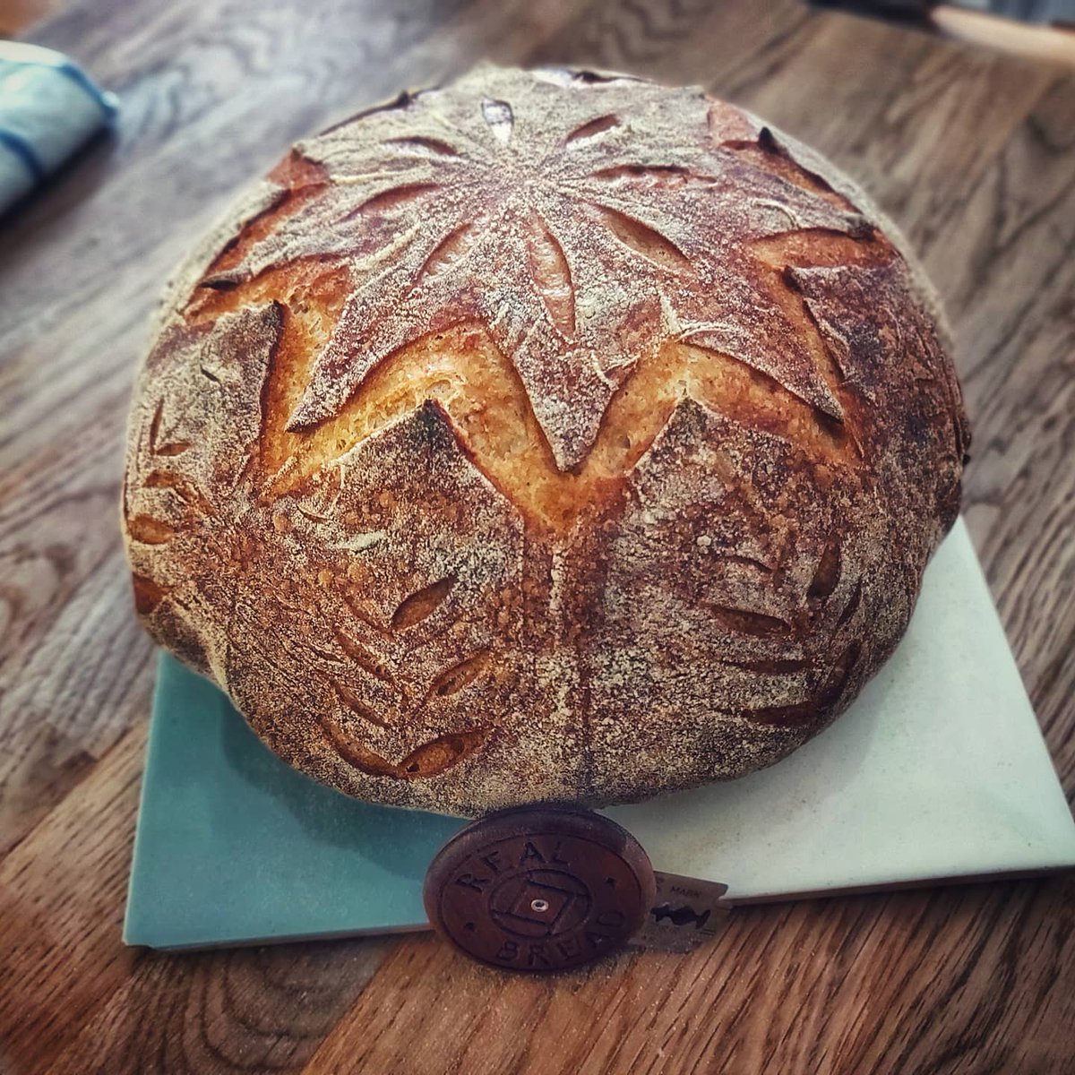 DavidStubley's tweet photo. Should I post the short video showing how I scored the following loaf? #sourdough https://t.co/0hn19BNCVi