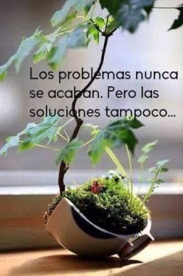 Nora Da Valle (@norandv) on Twitter photo 