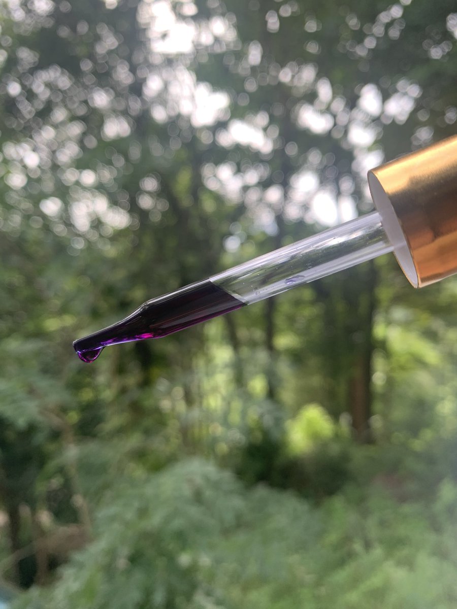 Getting up to some #tincture #witchery with a deliciously vampiric-looking mix of #hibiscus, #peachlily, #butterflypea and of course... some fine #brandy. #flowerpower #herbs #makingmagicinthejungle