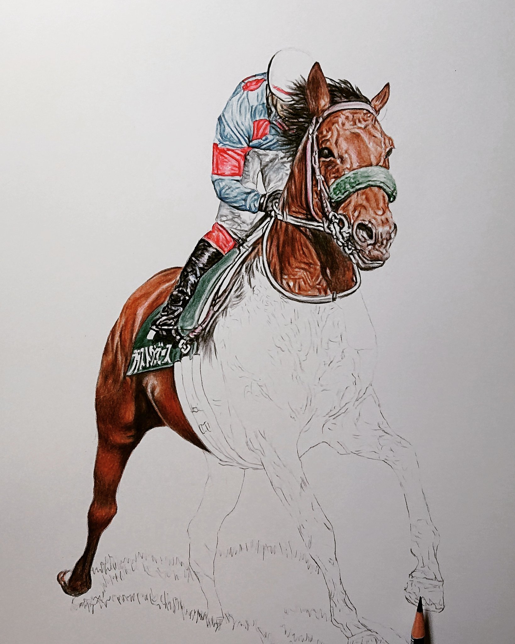 友人が書いた馬の頭部の色鉛筆イラスト ウマ描いてみた】穏やかに過ごす引退競走馬たちと触れ合ってきた