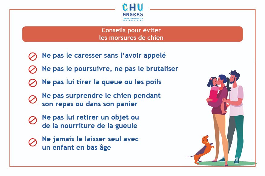 chu_angers's tweet photo. Pendant la période de #confinement, le #CHUAngers a recensé une augmentation significative d’#accidents chez l’#enfant liés à une #morsure de #chien.
Malgré le #déconfinement, les risques persistent.  
Quelques gestes à connaître pour éviter les morsures ⤵ https://t.co/NuddF3zNpH