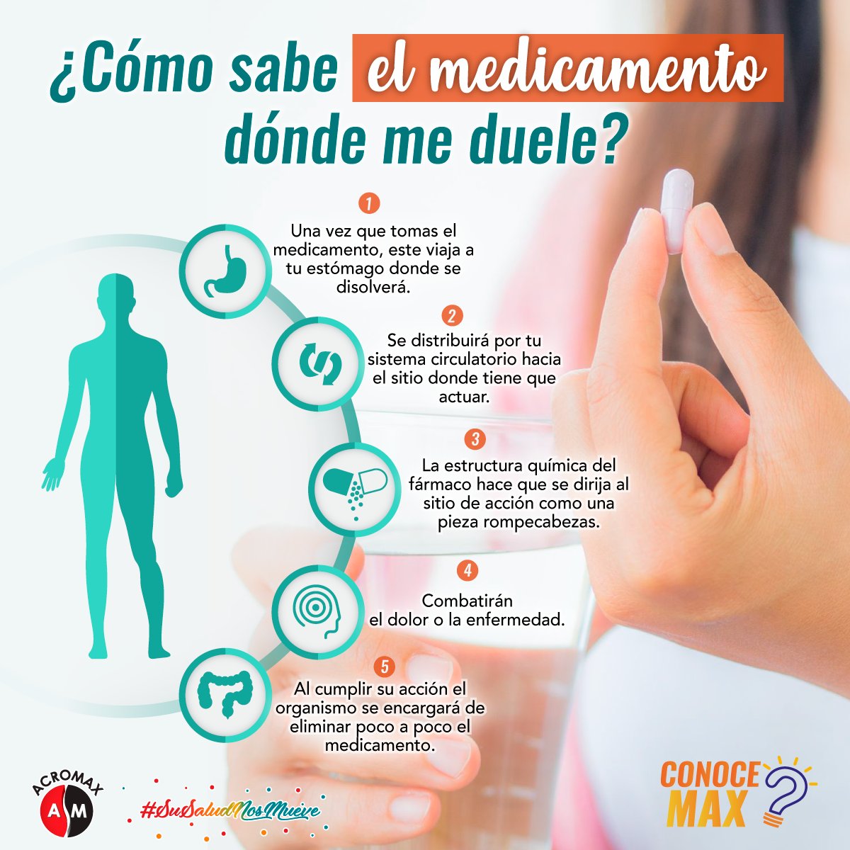 AcromaxEcuador's tweet photo. 🔎¿Alguna vez te has preguntado cómo sabe tu medicina en qué parte del cuerpo actuar? ¡Aquí te lo explicamos! 💡
#ConoceMax #Medicamentos #Salud #Curiosidades https://t.co/EmifKGqdvi