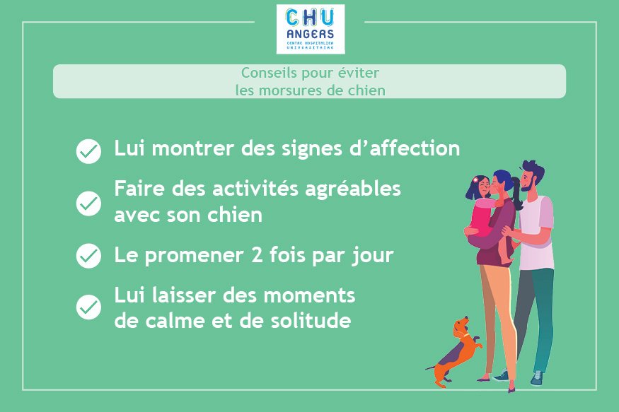 chu_angers's tweet photo. 📍  Les #chiens mordeurs sont en majorité des chiens de la famille qui n’ont parfois jamais posé de problème et l’accident peut survenir sans raison compréhensible. 

Quelques gestes à connaître pour éviter les morsures ⤵ https://t.co/zeBP1T6amd