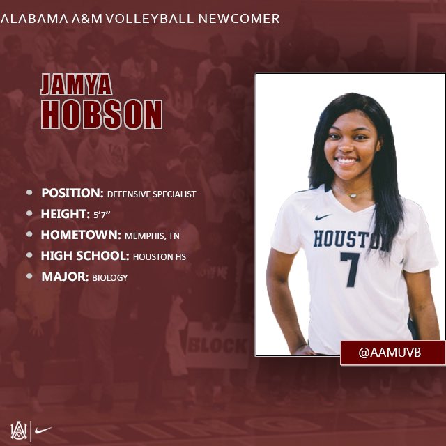 Alabama A&M Volleyball tweet media
