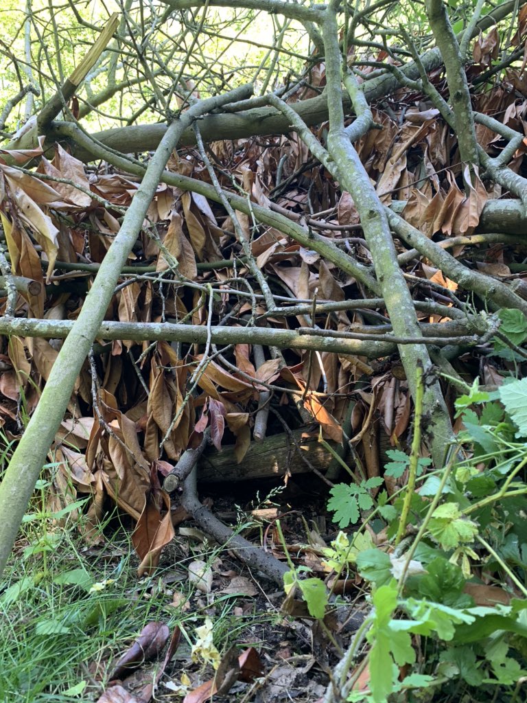 Here’s our #ThePerfectShelter - a den for our hedgehog and wildlife friends @ClareHelenWelsh @PlymChnBookGrp @LittleTigerUK @AsaGilland