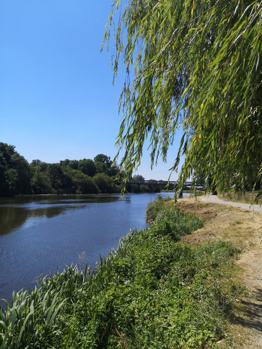 L'été s'est bel et bien installé sur Guipry-Messac 😍☀️