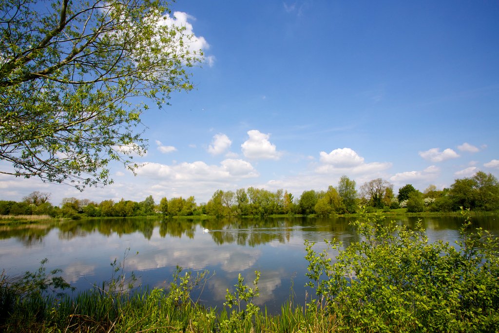 Lower Mill Estate tweet media