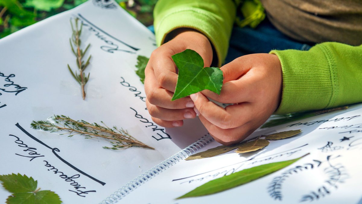 There's less than ONE WEEK LEFT to register for this summer's Nature Journaling program!⁠
⁠
Click here for all the details visitthereach.org/education/educ…