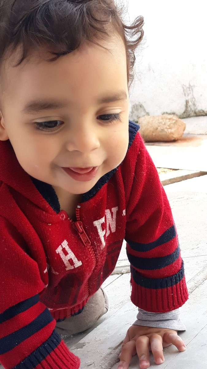 giseleyag's tweet photo. 1 ano e 9 meses desse gatinho 💕 Parabéns Filho 🙏🏼😘 https://t.co/5b4cXV9Kot