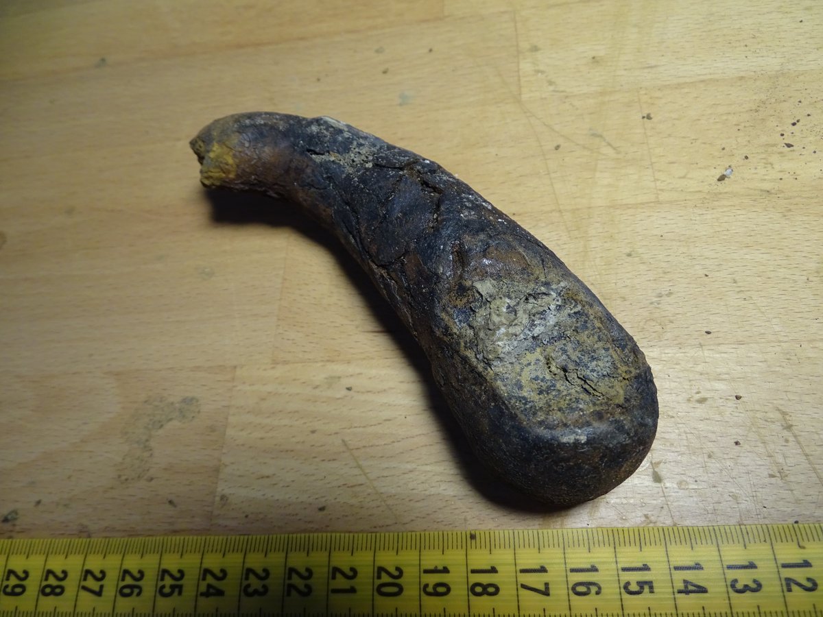DinolabN's tweet photo. Dinopoo (part 5 of 5)

in which the dark #plant #fossils look more like a single mass instead of crumbling pieces of #coal.
Could it be?????
MDG &amp; YG

#fossils #MuseumsUnlocked  #naturalis #Triceratops #dinosaurs #Dirkje #paleontology https://t.co/U31FUsxNqZ