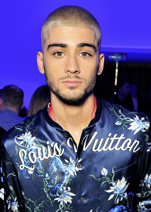 Zayn Malik at the Louis Vuitton Men's Fashion show June 25 2015