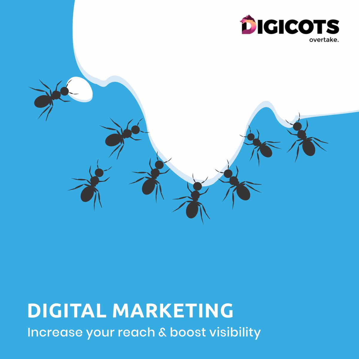 Learn how to amplify your business with the wolfpack’s customisable digital marketing solutions. Talk to an expert today to see the results tomorrow!
Find us on digicots.com
#Digital #Digicots #marketing