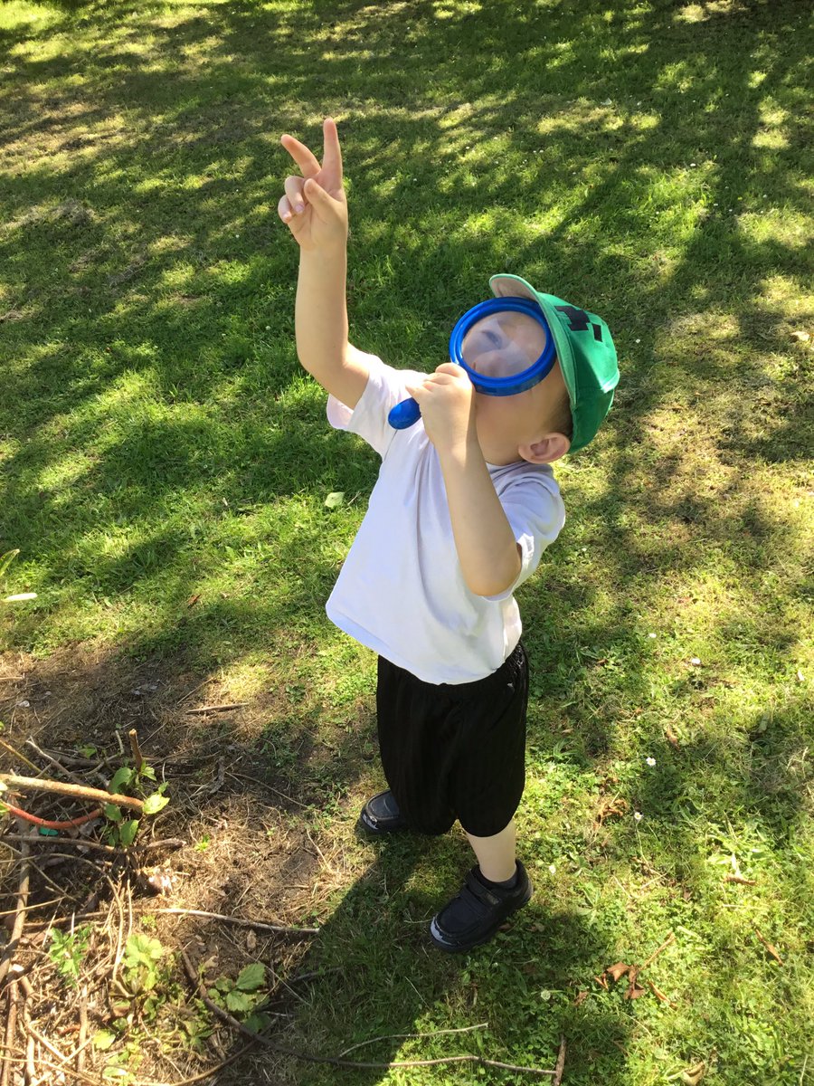 braunstone_cps's tweet photo. What a great day the children had, using their interests and ideas to lead their own learning. They explored different habitats around the school and discovered spiders, worms, bees, ladybirds and ants 🐜🕷🐞🐛🕸🦗🐌🐝 #minibeasthunt #bubble6 #bcps https://t.co/IZP84bDmd5