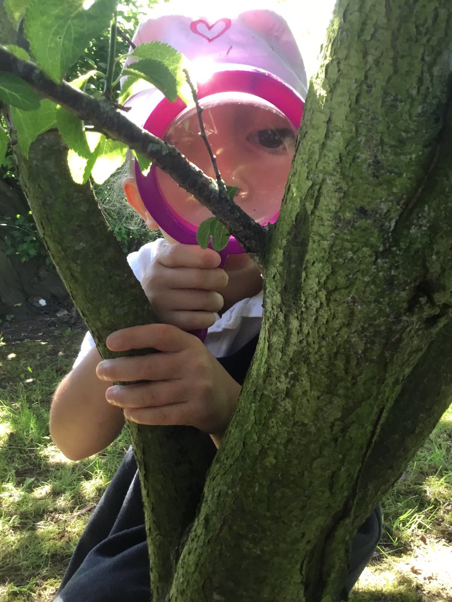 braunstone_cps's tweet photo. What a great day the children had, using their interests and ideas to lead their own learning. They explored different habitats around the school and discovered spiders, worms, bees, ladybirds and ants 🐜🕷🐞🐛🕸🦗🐌🐝 #minibeasthunt #bubble6 #bcps https://t.co/IZP84bDmd5