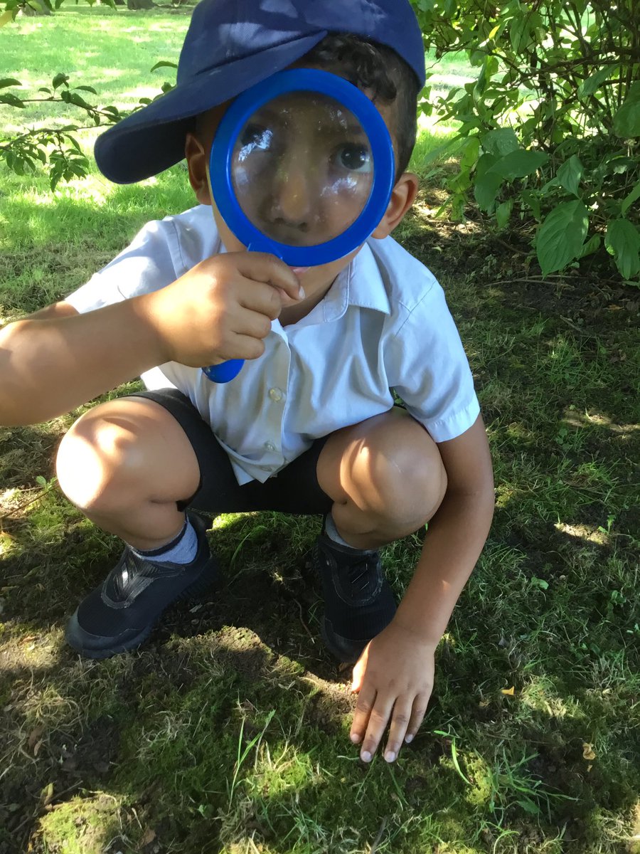 braunstone_cps's tweet photo. What a great day the children had, using their interests and ideas to lead their own learning. They explored different habitats around the school and discovered spiders, worms, bees, ladybirds and ants 🐜🕷🐞🐛🕸🦗🐌🐝 #minibeasthunt #bubble6 #bcps https://t.co/IZP84bDmd5