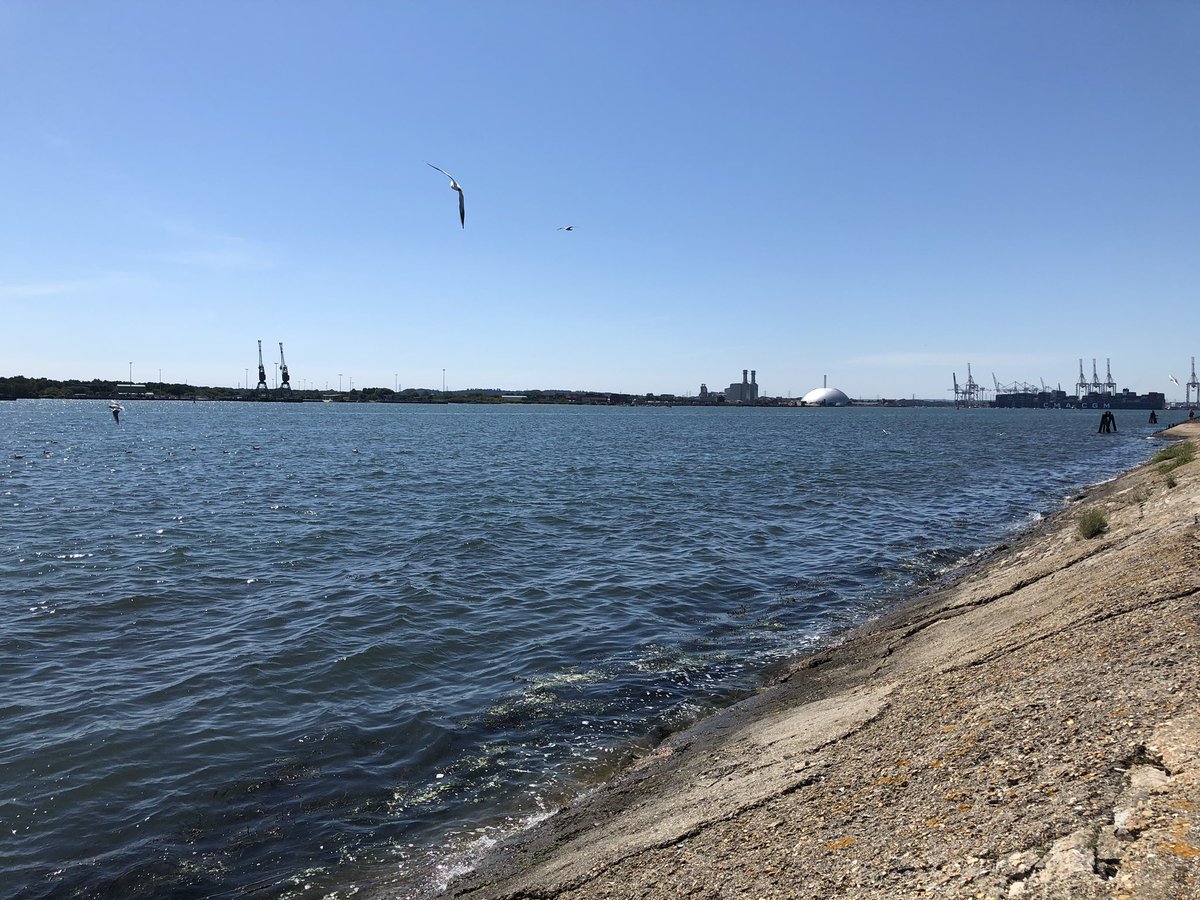 Mike Clare tweet media