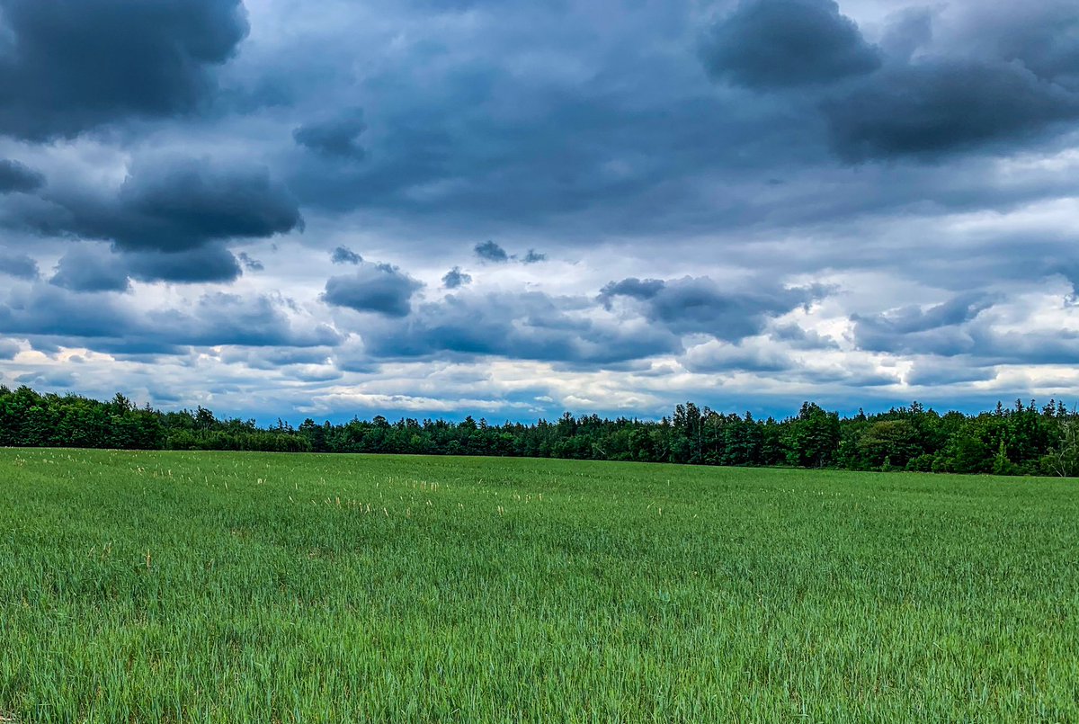 Vaderstad North America tweet media