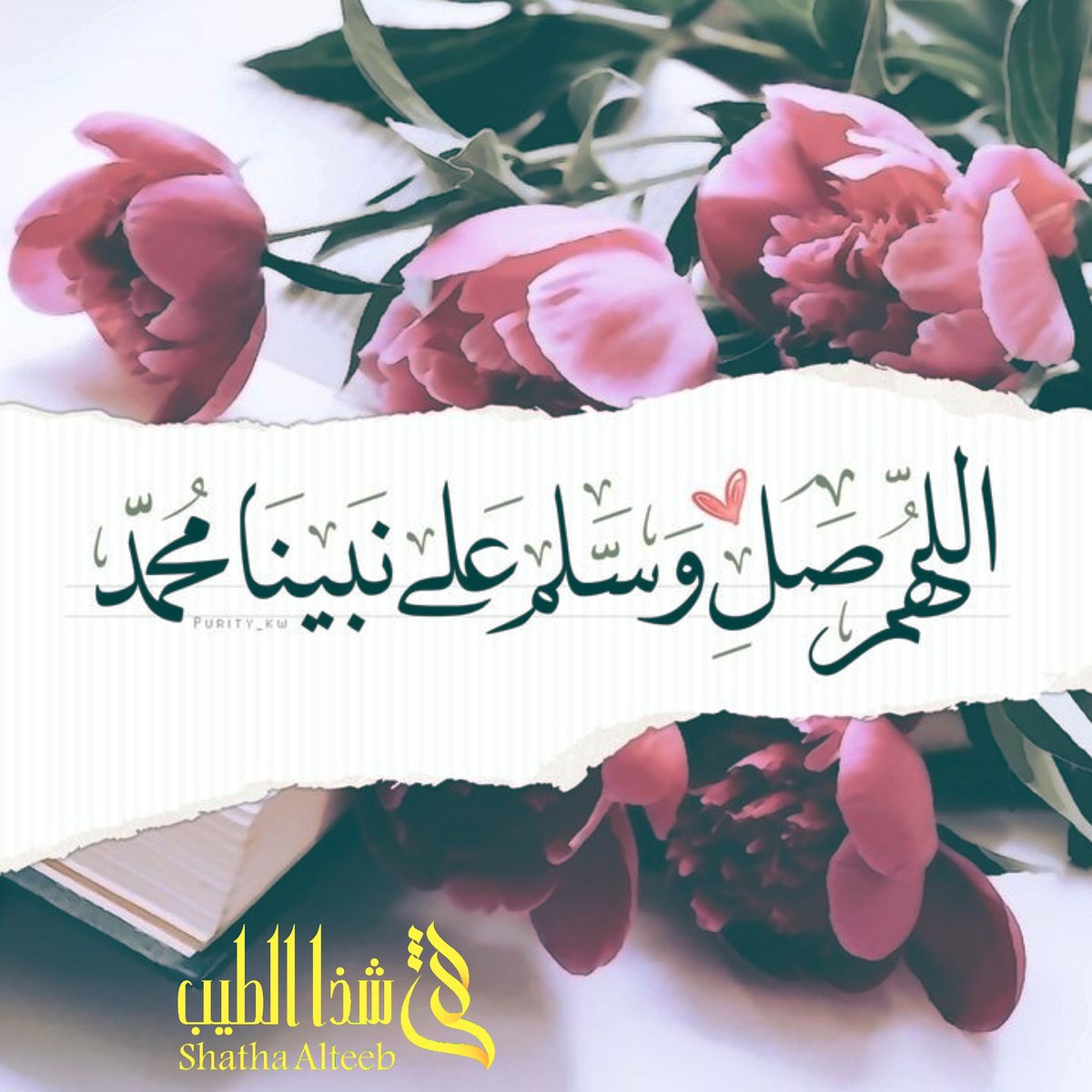 Shatha_Alteeb tweet picture