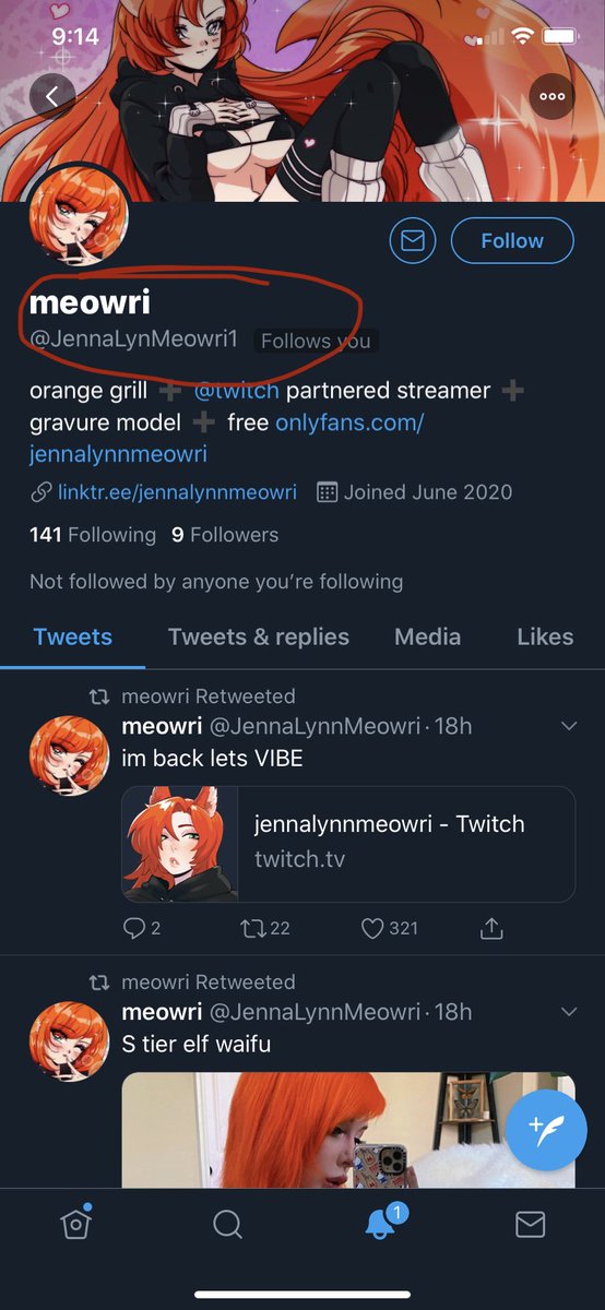 Jenna meowri twitch