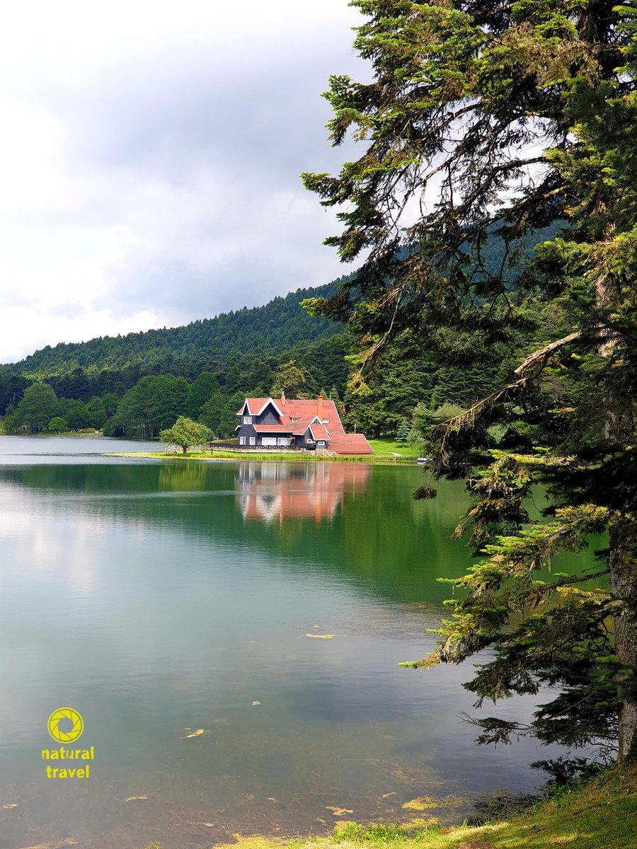 naturalandtrave's tweet photo. #lake #forest #green #scenery #amazing #view #bolu #turkey🇹🇷 #gölcüktabiatparkı https://t.co/K0sXnPE56U
