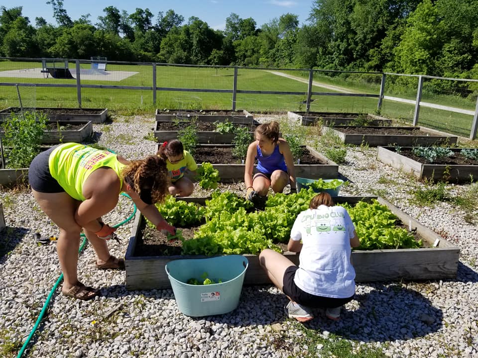 LCPublicHealth's tweet photo. @CPUSchools Garden Club spends a portion of their summer maintaining a community garden. The group donates the produce to the CPU Food Bank which helps others achieve the goal of 5 servings of fruits and vegetables a day! #HealthyChoicesCount https://t.co/VIGQoNyF4y